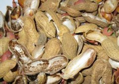Peanut Shell Pellet Equipment